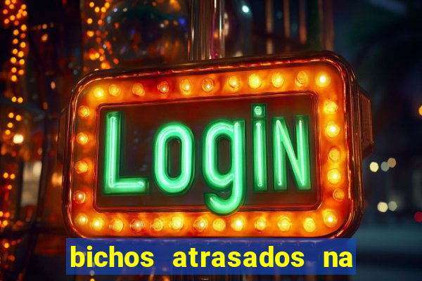 bichos atrasados na loteria federal